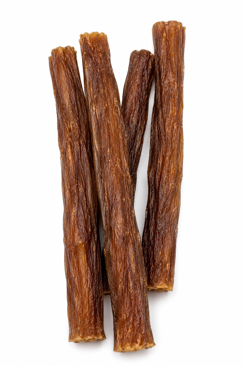 BULL NERVE