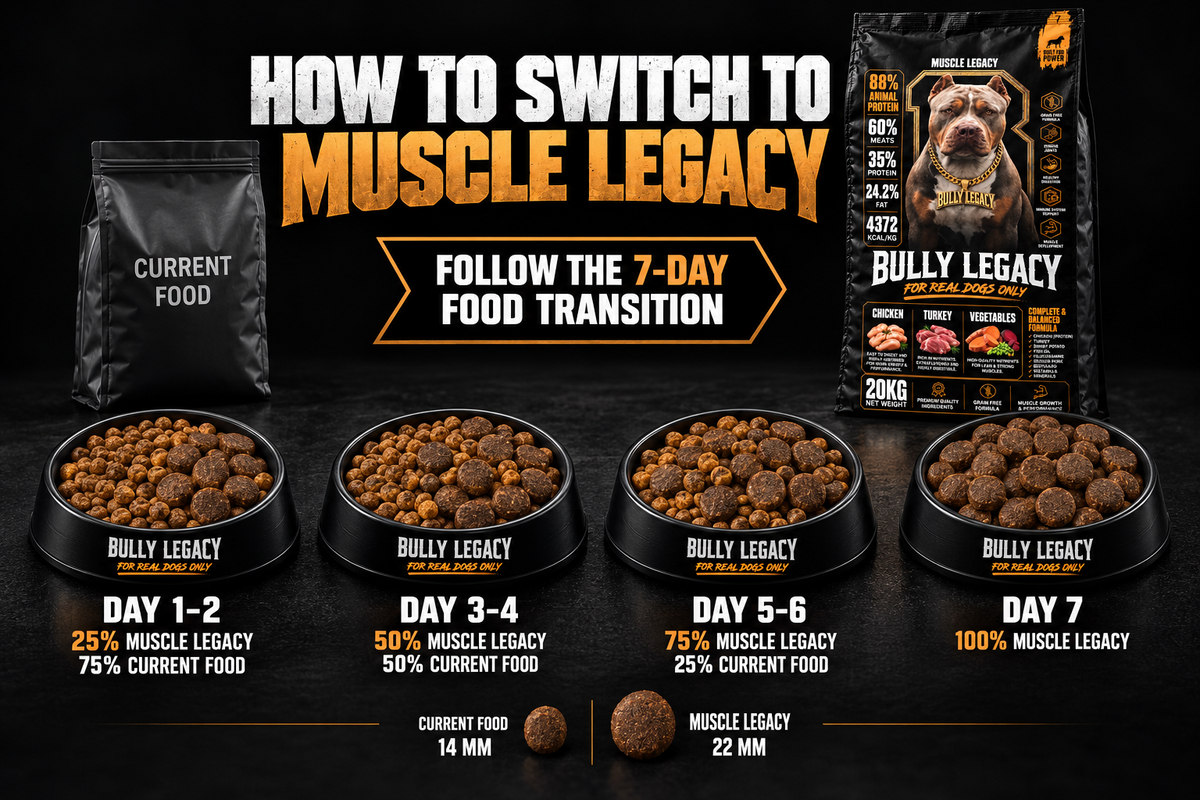 MUSCLE LEGACY 20 kg